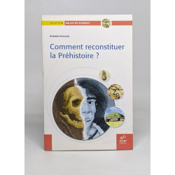 Comment reconstituer la Préhistoire