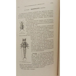 Faune entomologique armoricaine - TOME I 3e Partie