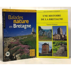 Une histoire de la Bretagne