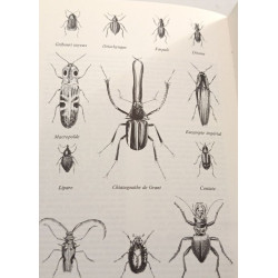 Oiseaux des jardins et des bois + Un monde merveilleux: les insectes