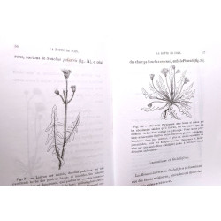 Librairie centrale d'agriculture et de jardinage - 1er janvier...