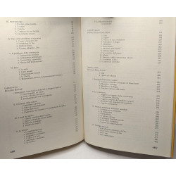 Storia della filosofia francescana (Tau)