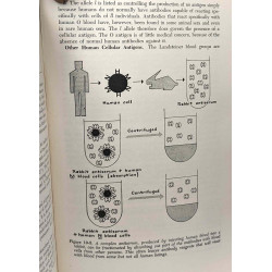 General genetics -- illustrated by Evan L. Gillespie