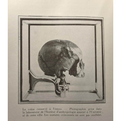 À propos des Reliques du chef de Sainte Elisabeth de Thuringe (1231)