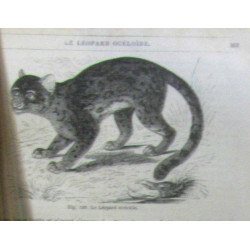 Merveilles De La Nature. Les Mammifères. Caractères Moeurs Chasses...