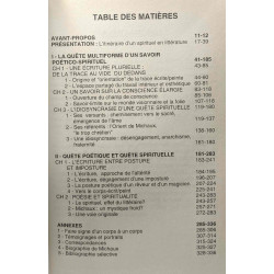 Expérience esthétique et spirituelle chez Henri Michaux : La Quête...