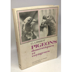 Pigeons domestiques et voyageurs