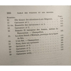 La caricature égyptienne historique politique et morale -...