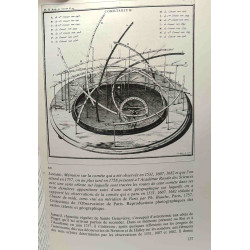 Halley la comete Newton et d'autres (French Edition)