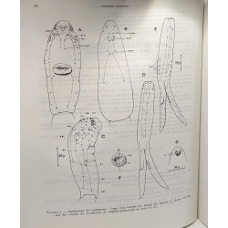 Mémoires du muséum national d'histoire naturelle - nouvelle série...