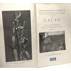 Cacao - onze koloniale landbouw - XI