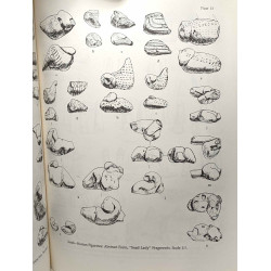 Figurines and Other Clay Objects from Sarab and Cayonu