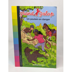 Lot de 5 histoires issues de la collection "Grand Galop": Une...