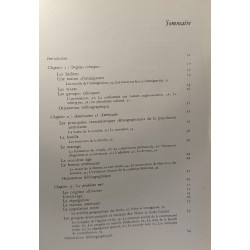 La Civilisation américaine