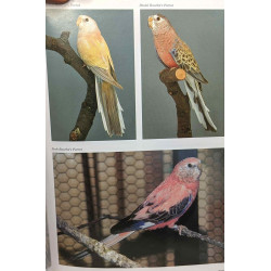Complete Encyclopedia of Cage et Aviary Birds