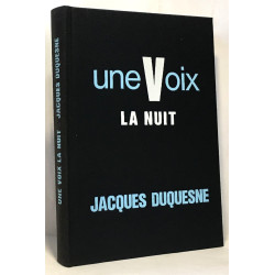Une voix dans la nuit