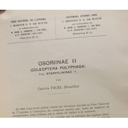 Osoriinae II (coleoptoera polyphaga)