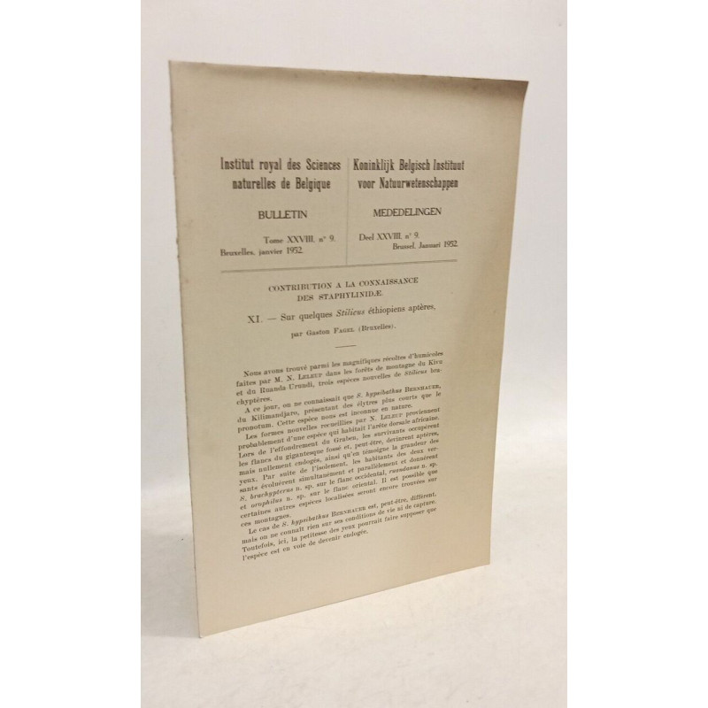 Sur quelques stilicus éthiopiens aptères - XI - Bulletin tome...