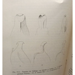 Contribution à la connaissance des staphylinidae - 61 Bulletins...