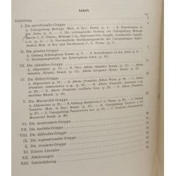 Zur Kenntnis einiger in die atheta-untergattung metaxya M. et R....
