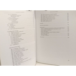 Le Mariale lyonnais (Paris BNF fr. 818): Édition traduction et...