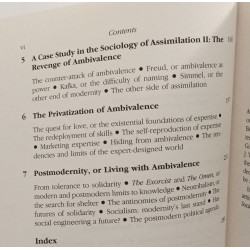 Modernity and Ambivalence