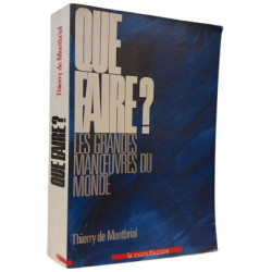 Que faire ? : les grandes manoeuvres du monde