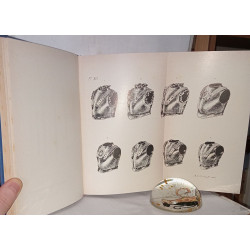 Monographies de l'arme blanche ( 1789-1870) et de l'arme a feu...