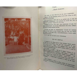 Histoires de chiens et d'années lointaines - avec hommage de l'auteur