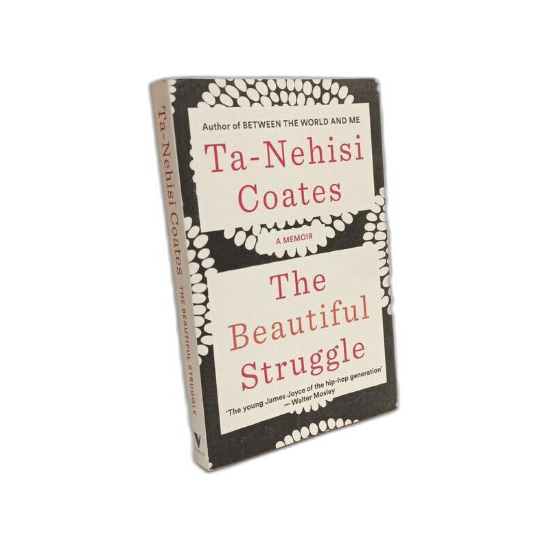 The Beautiful Struggle: A Memoir