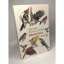 Malarrosa