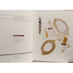 Spoon Cook Book