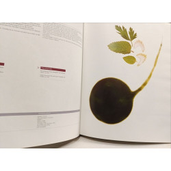Spoon Cook Book