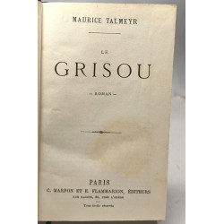 Le grisou - roman