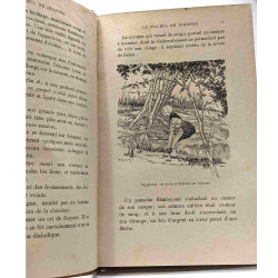 Le filleul de Jehanne