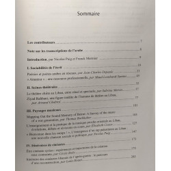 Itinéraires esthétiques et scènes culturelles au Proche-Orient