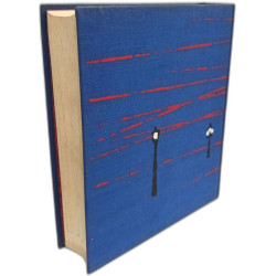 Histoire de Paris club du livre du mois