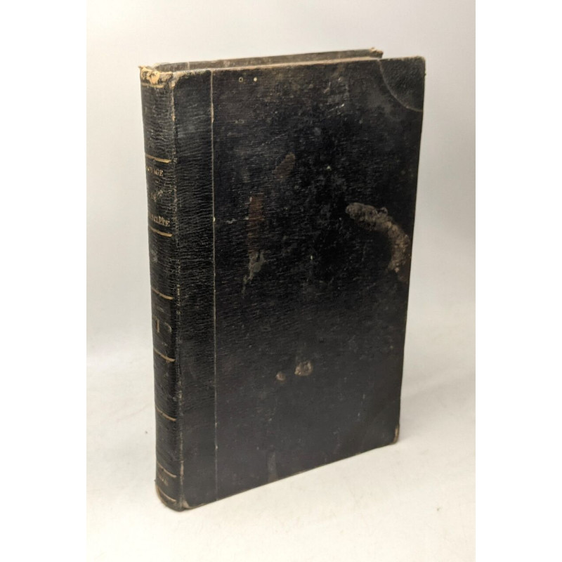 Voyage de polyclète ou lettres romaines TOME PREMIER
