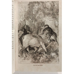 Le Chasseur de plantes