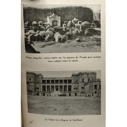 Les tigres parfumés - le livre d'aujourd'hui