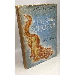 A dog called scholar illustrated by Lilian Obligado