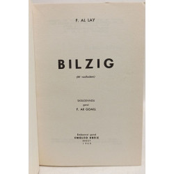 Bilzig