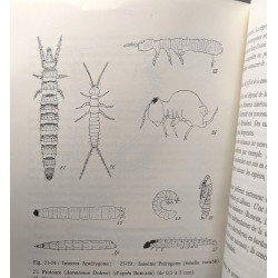 Introduction à l'étude de la pédofaune