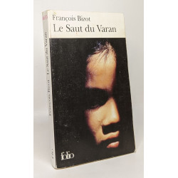 Le Saut du Varan