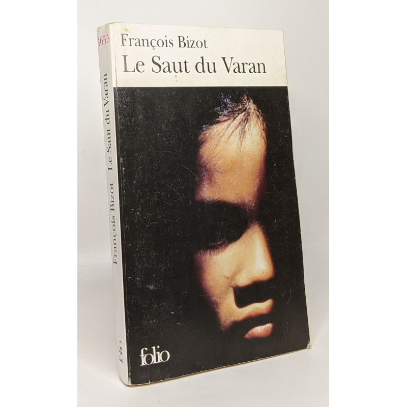 Le Saut du Varan