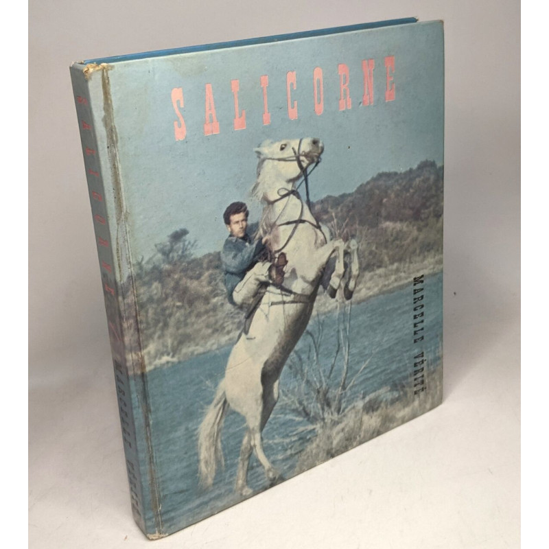 Salicorne