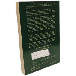 The Great Arch: State Formation Cultural Revolution and the Rise...