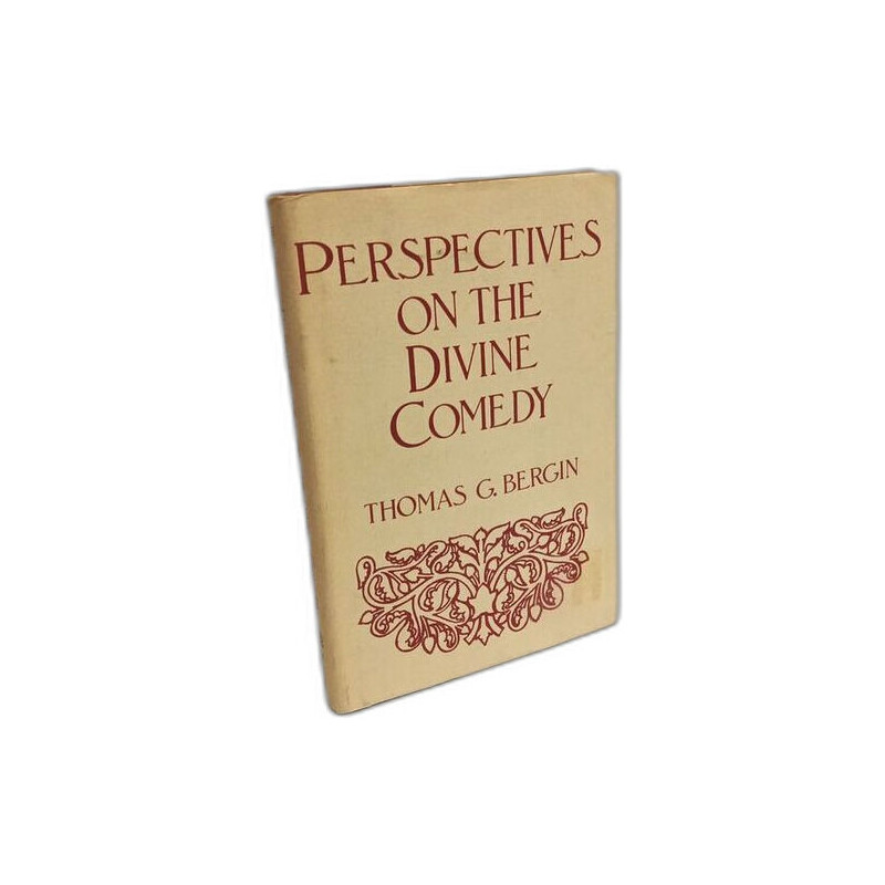 Perspectives on the Divine Comedy