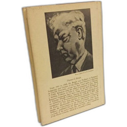 Perspectives on the Divine Comedy