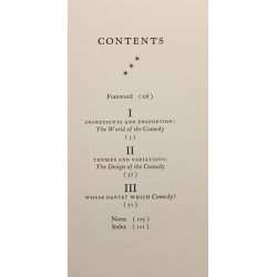 Perspectives on the Divine Comedy